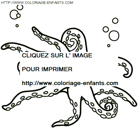 coloriage pieuvres