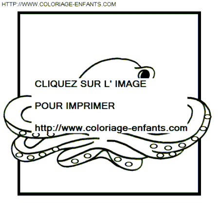 coloriage pieuvres