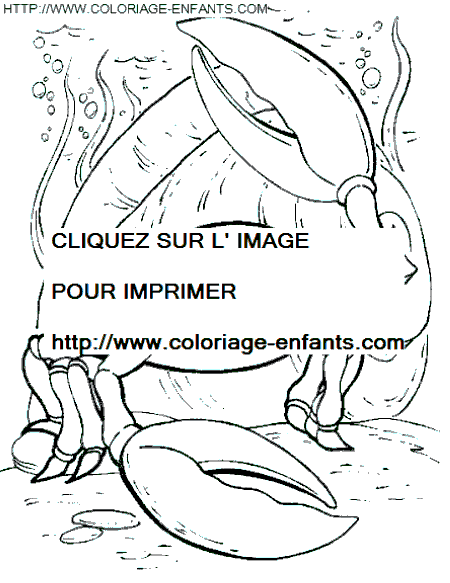 coloriage poissons