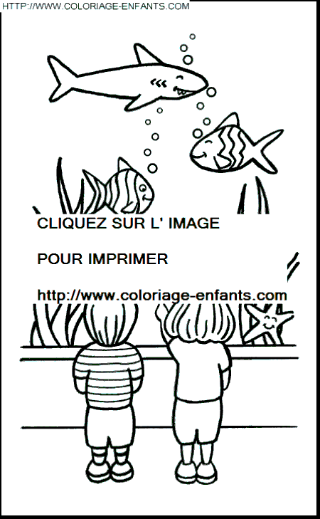 coloriage poissons