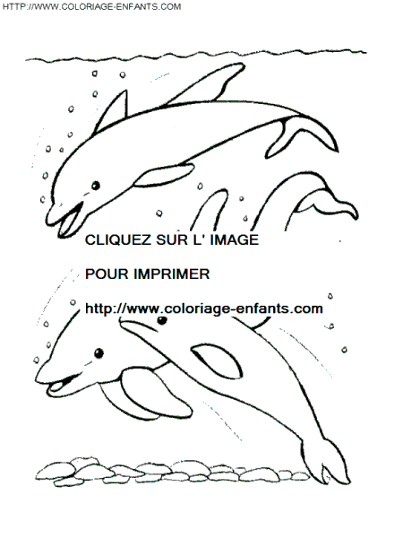 coloriage poissons