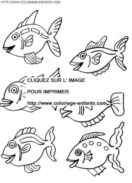 coloriage poissons