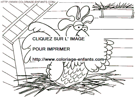 coloriage poules