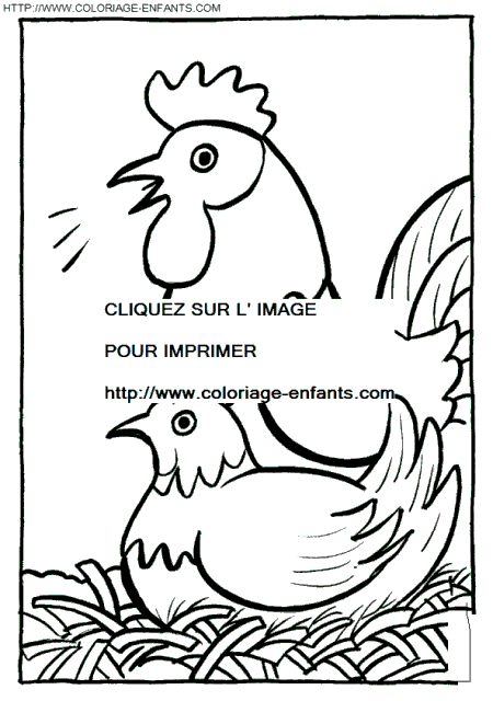 coloriage poules