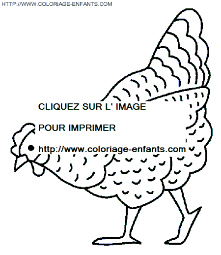 coloriage poules