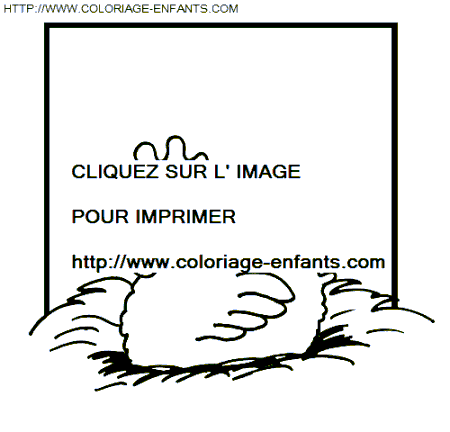 coloriage poules