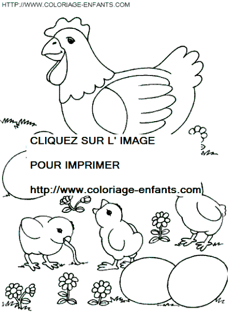 coloriage poules