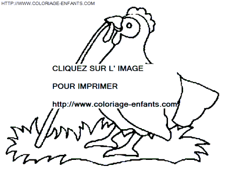 coloriage poules