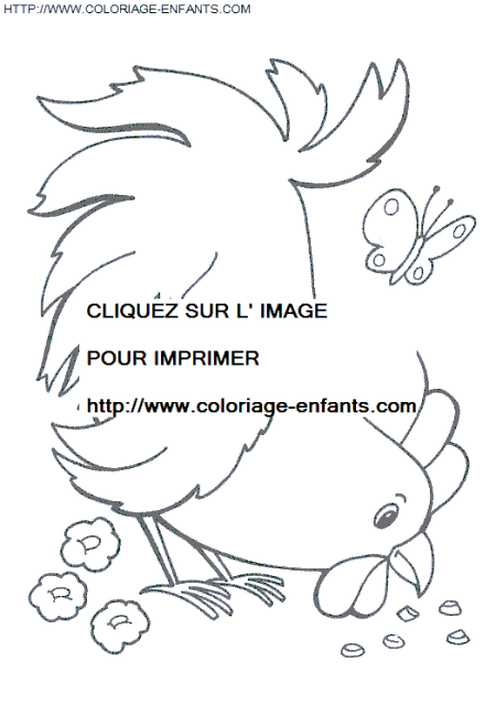 coloriage poules