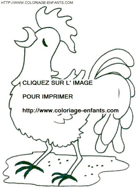 coloriage poules