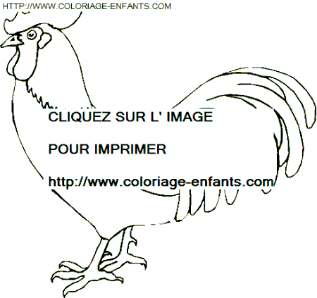 coloriage poules