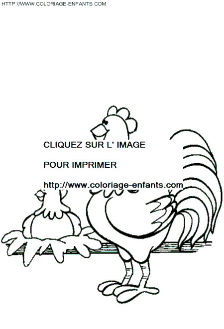 coloriage poules