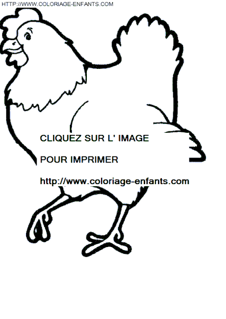 coloriage poules