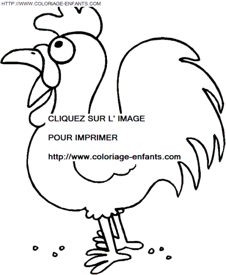 coloriage poules