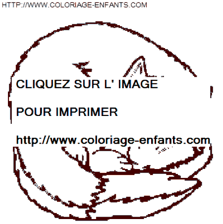 coloriage renards