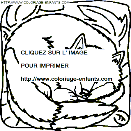 coloriage renards