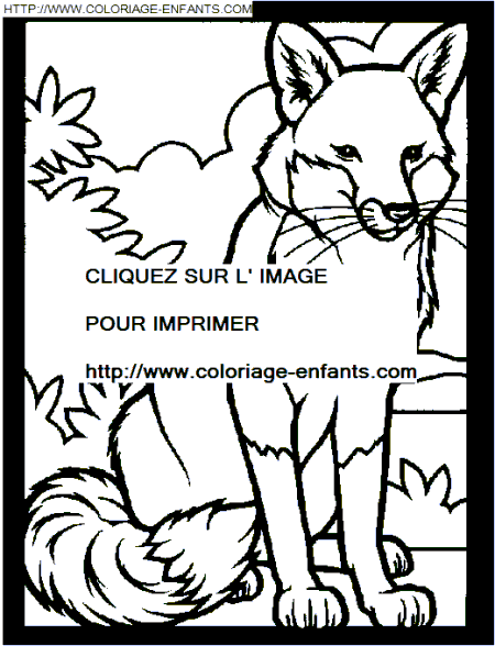 coloriage renards