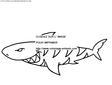 coloriage requin tres mechant