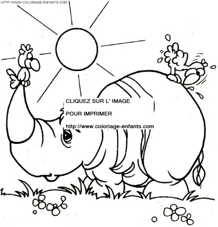 coloriage rhinoceros