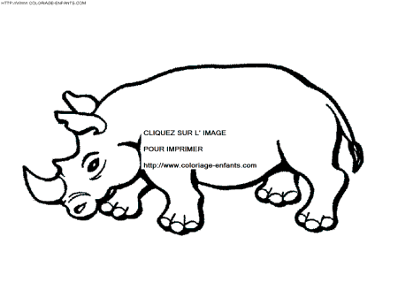 coloriage rhinoceros