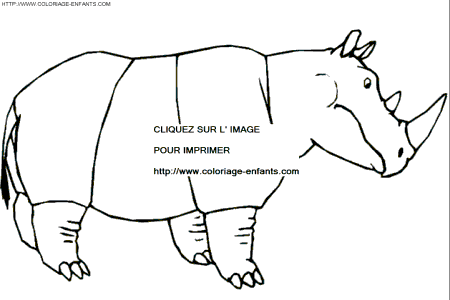 coloriage rhinoceros