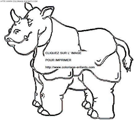 coloriage rhinoceros