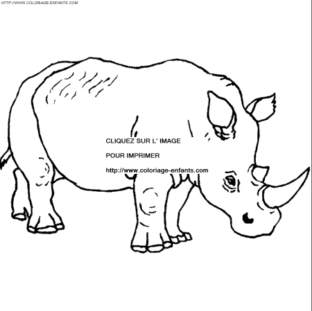 coloriage rhinoceros