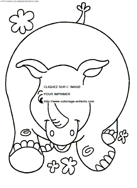 coloriage rhinoceros