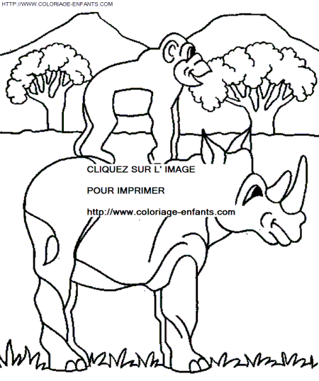 coloriage rhinoceros