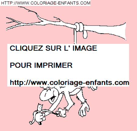 coloriage singes