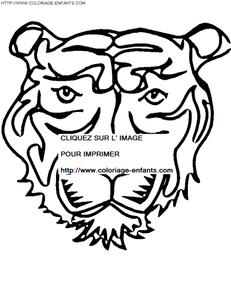 coloriage tete de tigre
