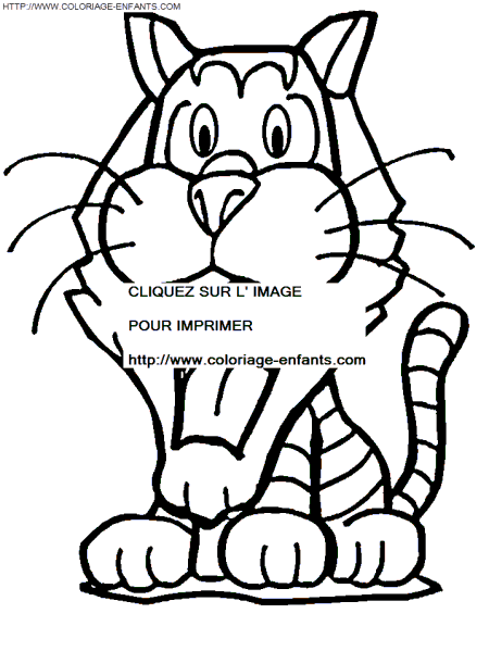 coloriage tigre 3e dessin enfant
