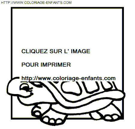 coloriage tortues