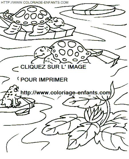 coloriage tortues