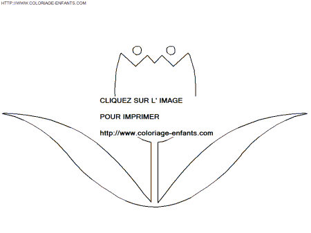 coloriage tulipe