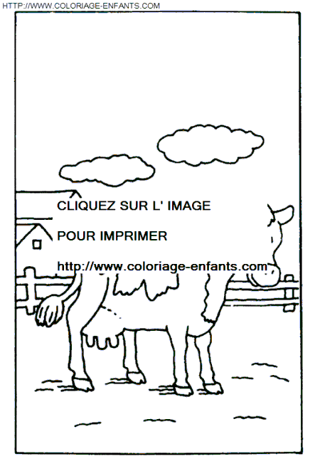 coloriage vaches