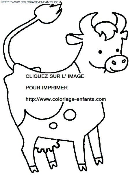 coloriage vaches