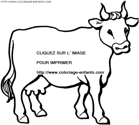 coloriage vaches