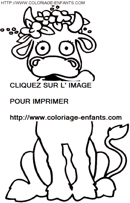 coloriage vaches