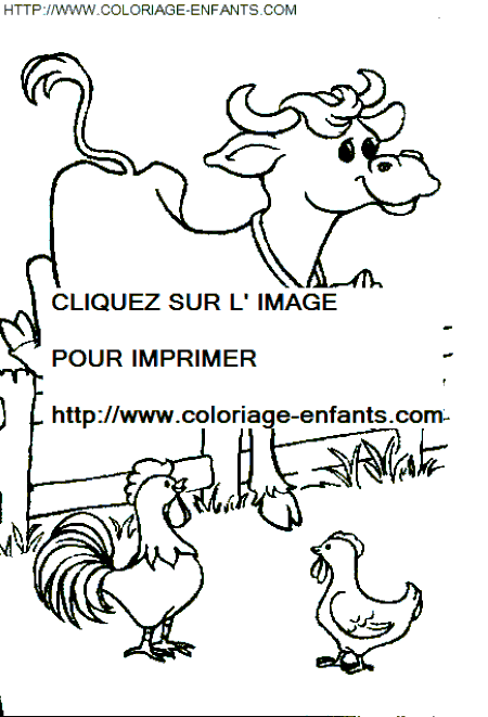 coloriage vaches