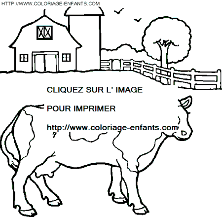 coloriage vaches