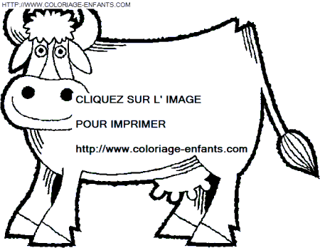 coloriage vaches