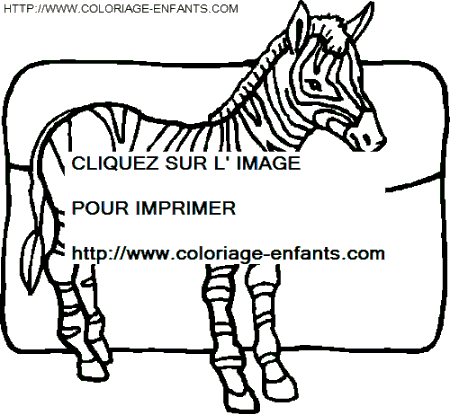 coloriage zebres