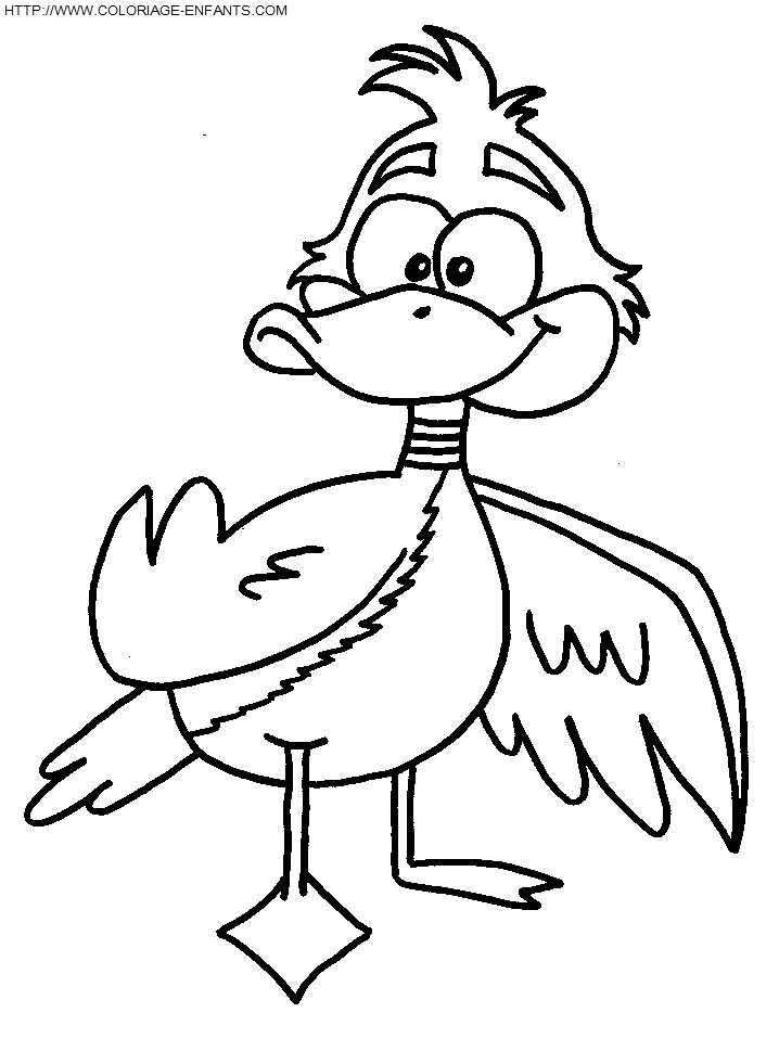 coloriage canards