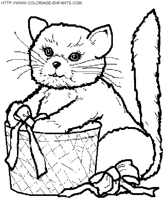 coloriage chats