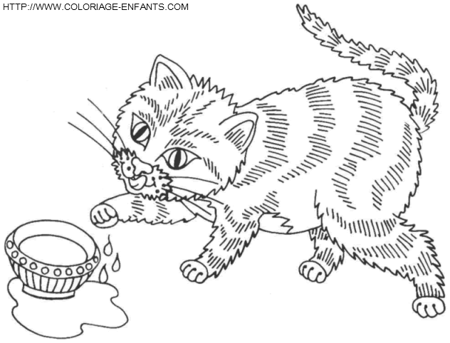 coloriage chats