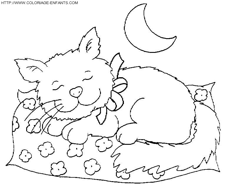 coloriage chats