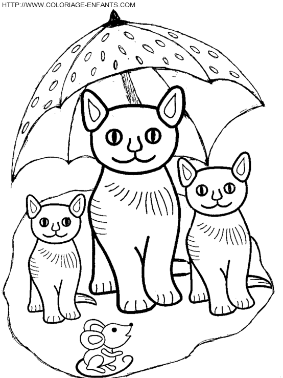 coloriage chats