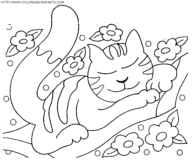 coloriage chats