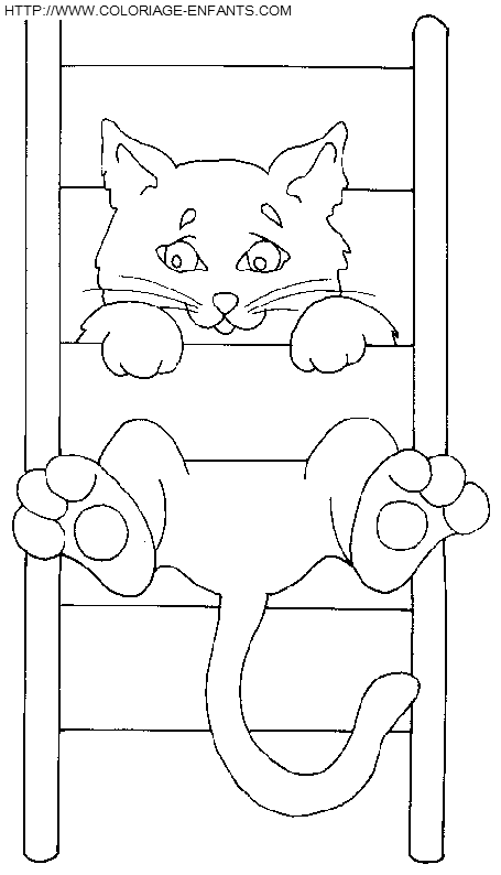 coloriage chats